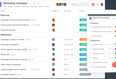 Asana Review