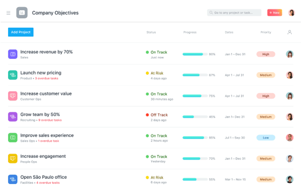 Asana Portfolio Review