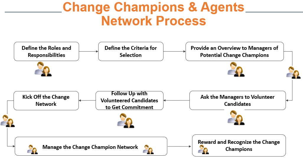 project champion role