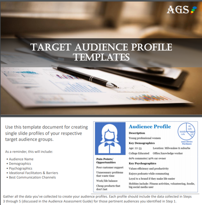 Target Audience Profile Samples