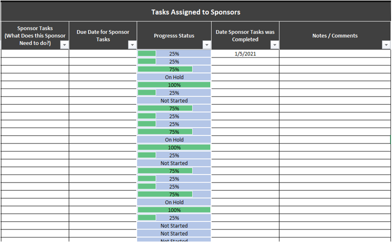 Change Management Sponsorship Plan