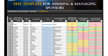 Executive Sponsor Plan and Roadmap