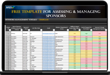 Executive Sponsor Plan and Roadmap