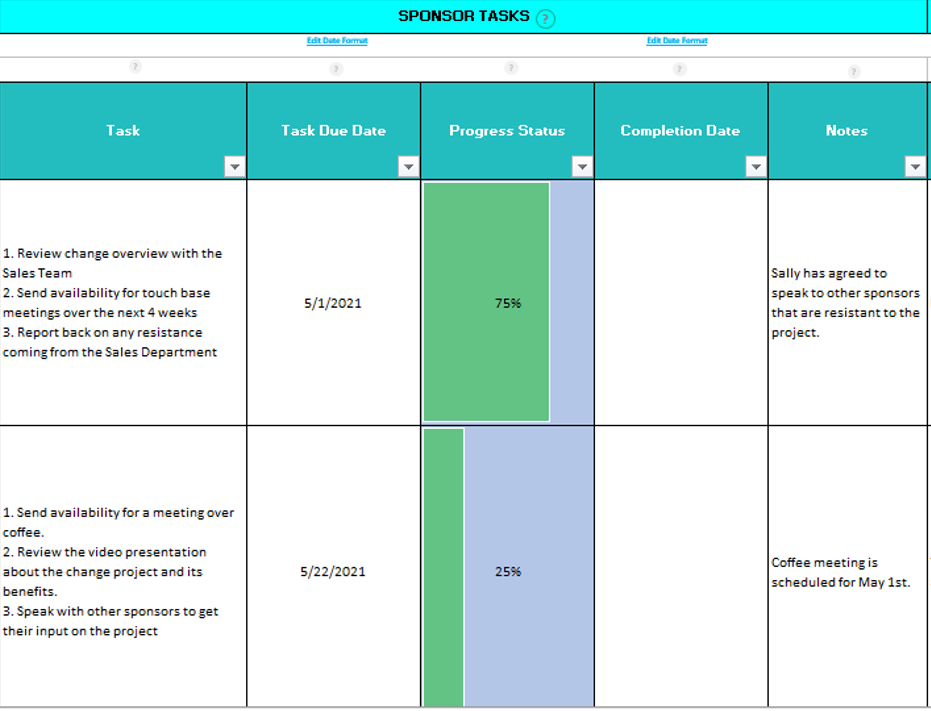 Project Sponsor Tasks