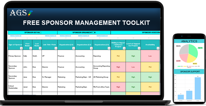 Project sponsor roles and responsibilities
