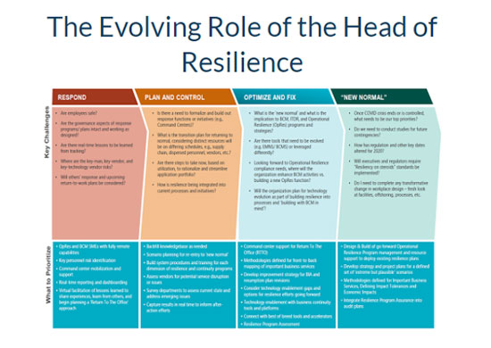 The Evolving Role of the head of resilience - strategy consulting london