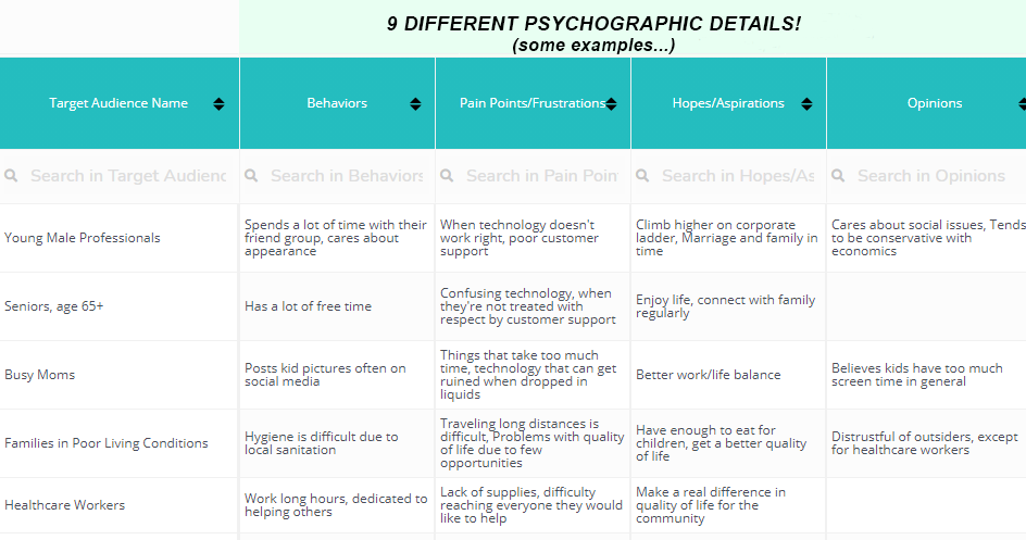 Psychographic Target Audience Details