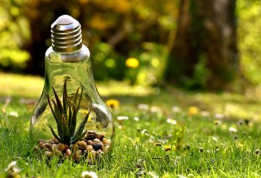 environmental impact assessment examples