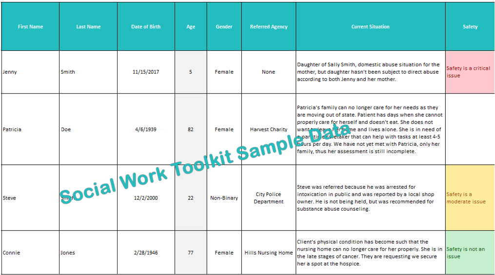 Social Work Toolkit Sample Data