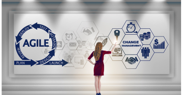 agile change management plan