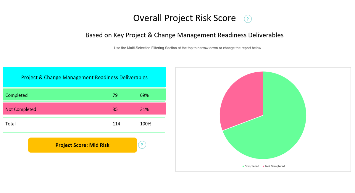 Project Risk Assessment Reports