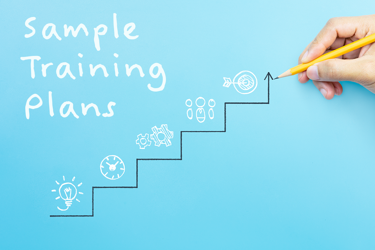 Best 2024 Training Plan, Template, and Samples for Training Employees and  Managers – OCM Solution