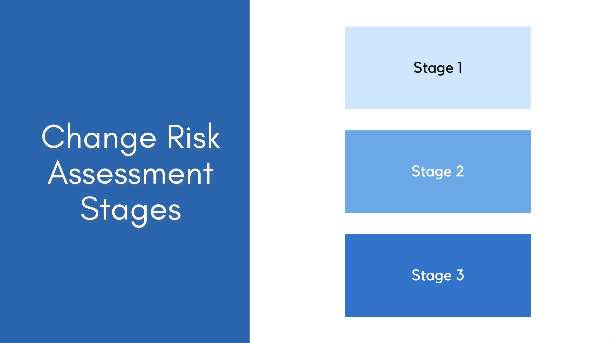 OCMS Portal project risk stages