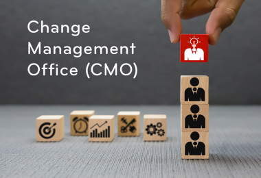 Change Management Office