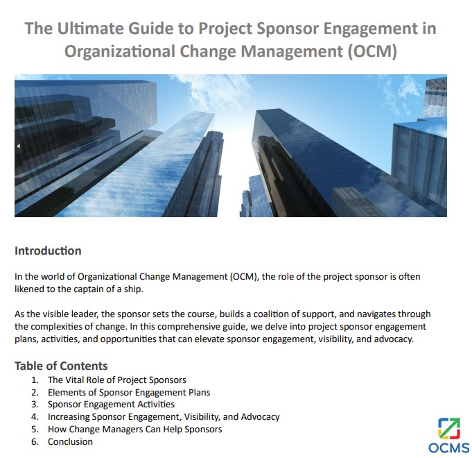 project management sponsor role guide