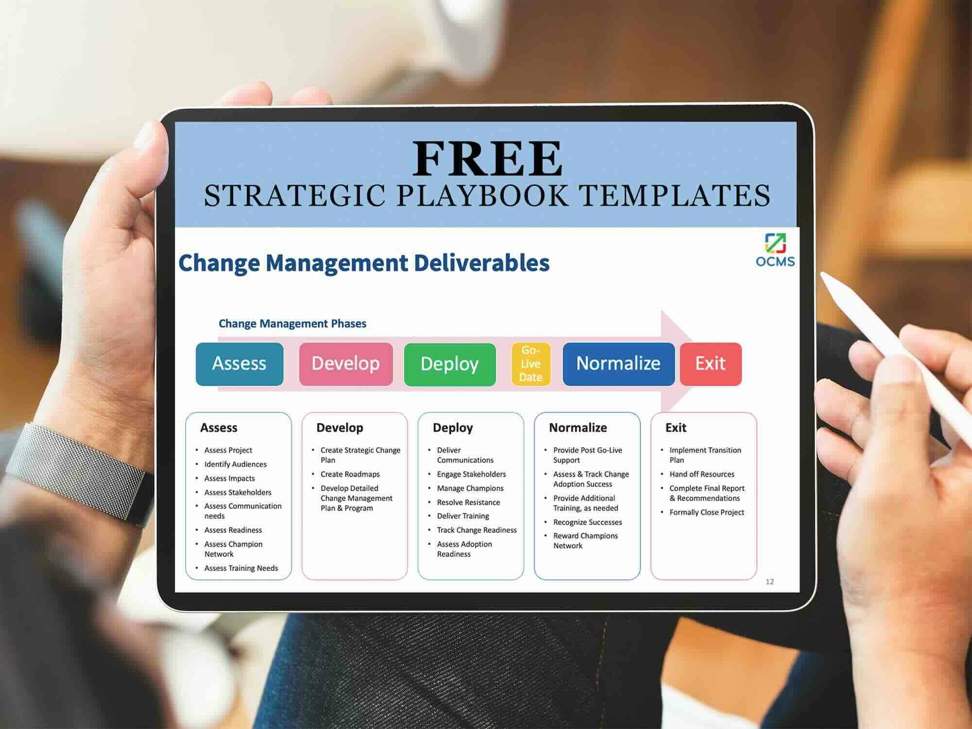free change management strategy playbook templates
