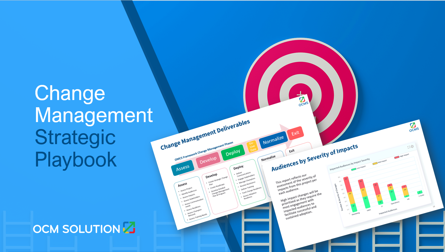 OCM Strategic Playbook Template