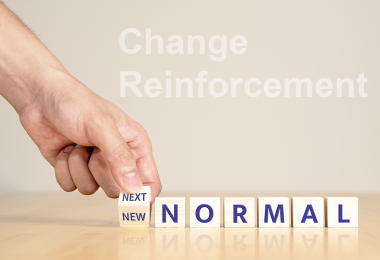 Sustaining Organizational Change