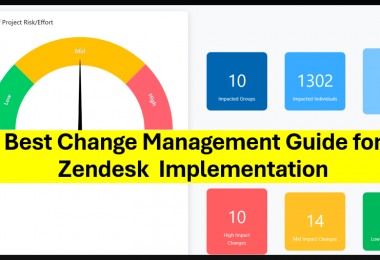 Best Change Management for Zendesk Implementation